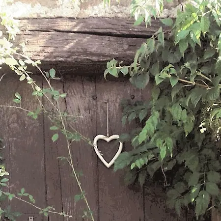 Rose Bed & Breakfast *